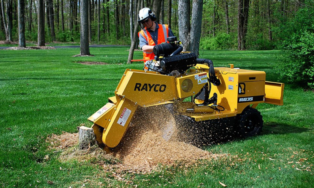 Tree-Stump-removal