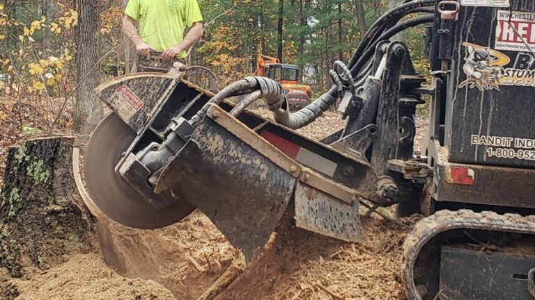 Tree Stump Removal